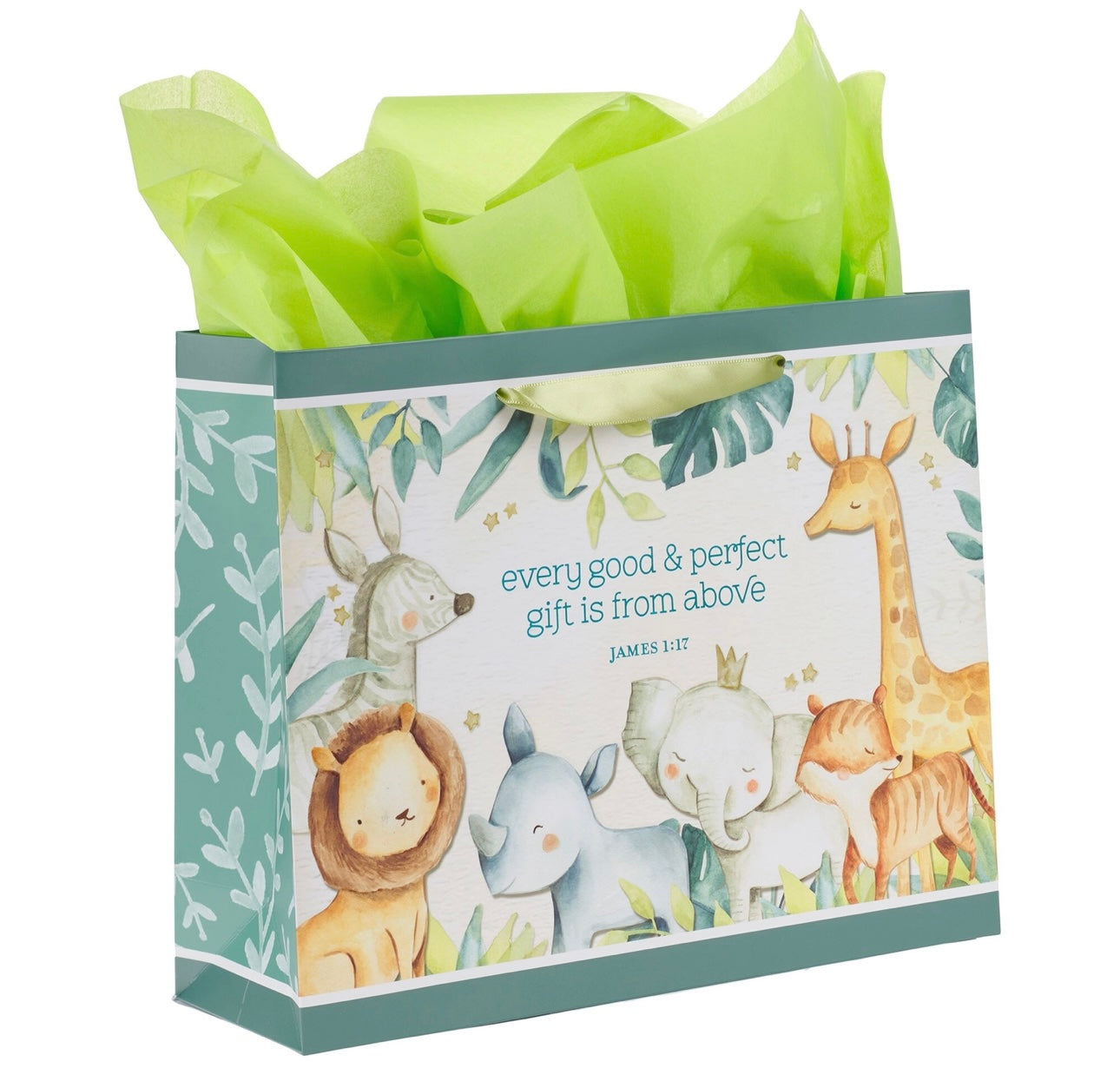 Gift Bag - Perfect Gift James 1:17