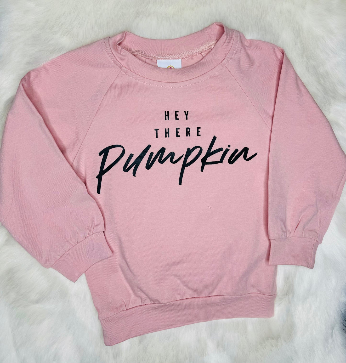 “Hey There Pumpkin” Blush Sweatshirt