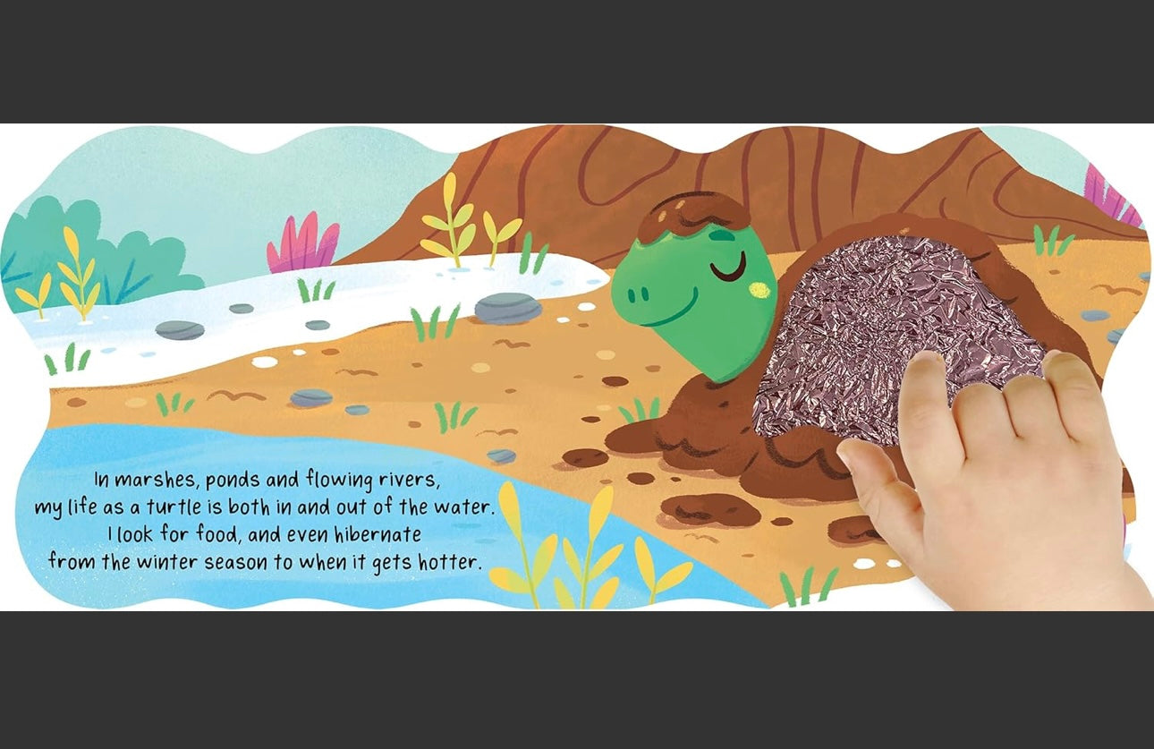 Shell Days with Turtle