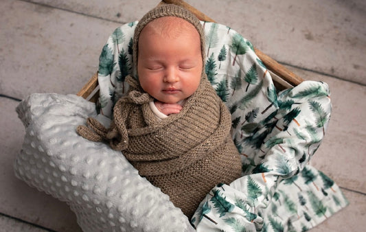 Woodland Whispers Minky Blanket