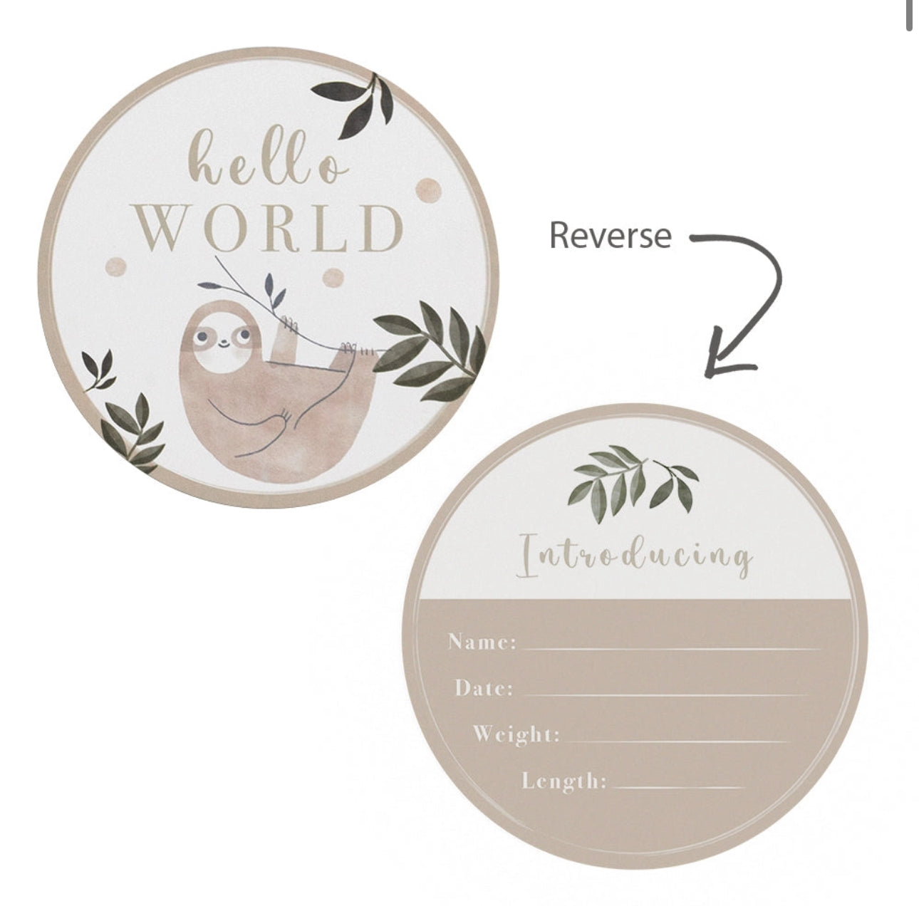 Hello World Gift Set - Rainbow