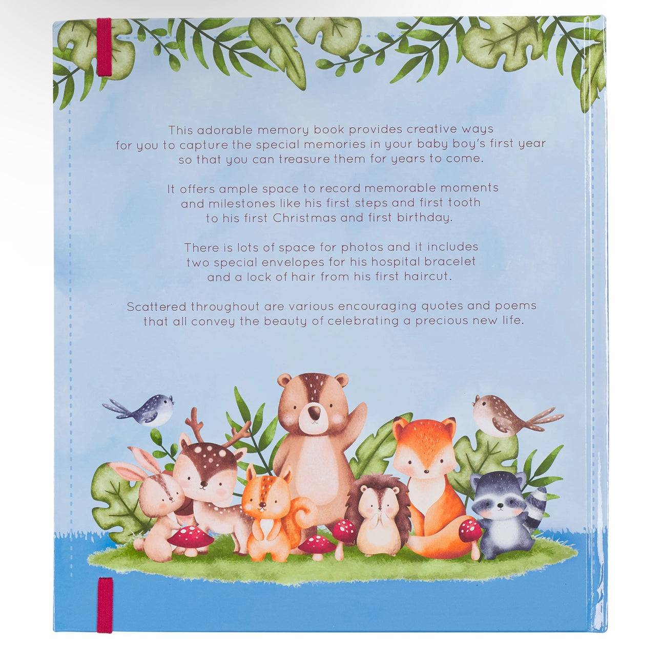 Baby Memory Book for Boys