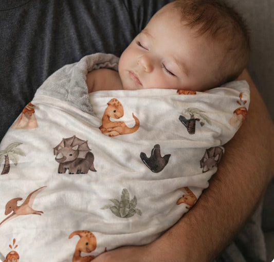 Baby Dino Minky Blanket