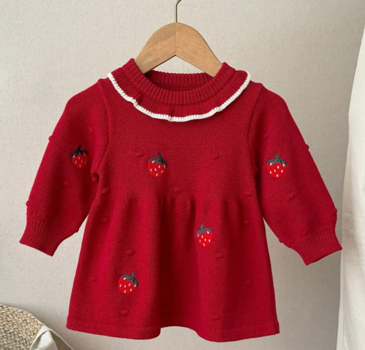 Strawberry Embroidered Knit Dress