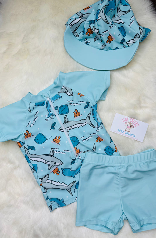 Boys Ocean 3 pc Swim Set