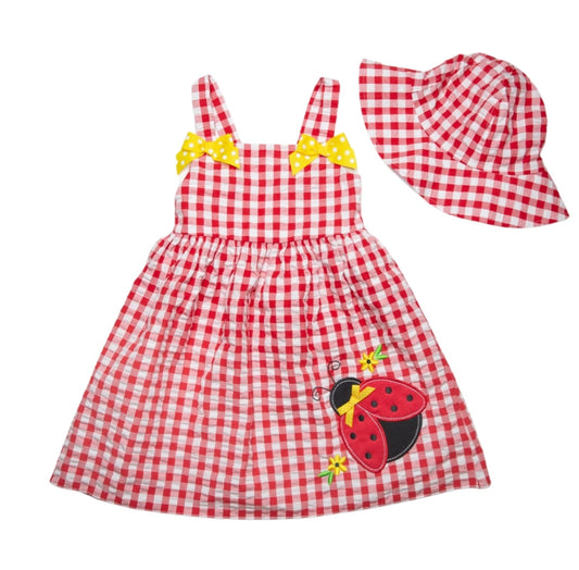 Plaid Ladybug Sundress & Hat