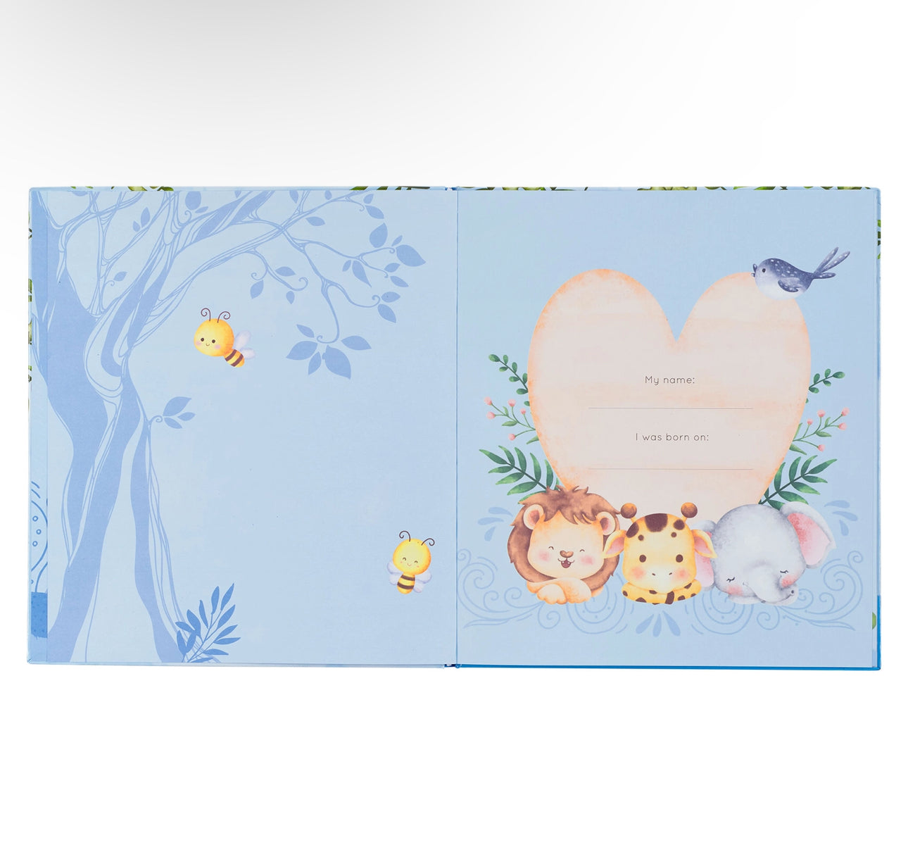 Baby Memory Book for Boys