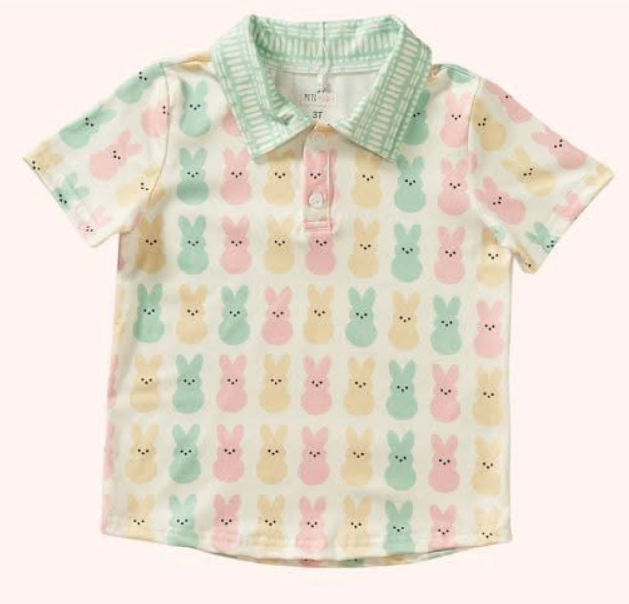 Springtime Bunnies Boys Top